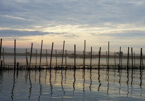 Discover the Hidden Gem of Central Vietnam: Tam Giang Lagoon