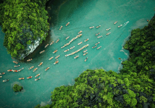 Tam Coc or Trang An: Which scenic destinations in Ninh Binh should you choose?
