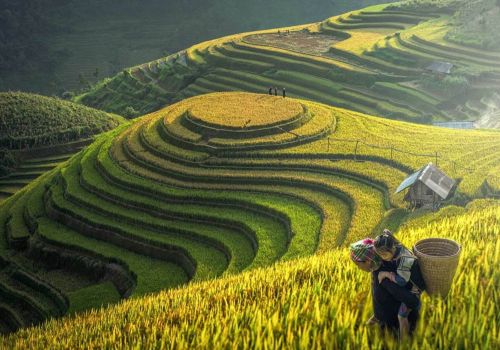 Cat Cat Village trek: Journey through the alluring landscapes of Sapa