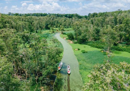 What makes Tra Su Cajuput Forest special? Top 7 unforgettable experiences for travelers