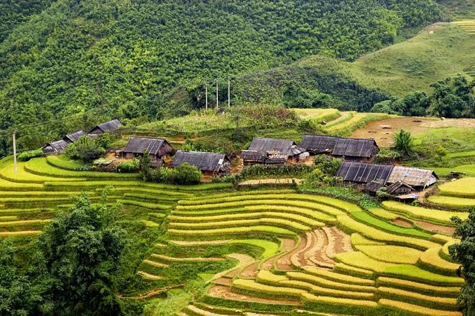 Viet_Dung-185625015619-Lao Cai