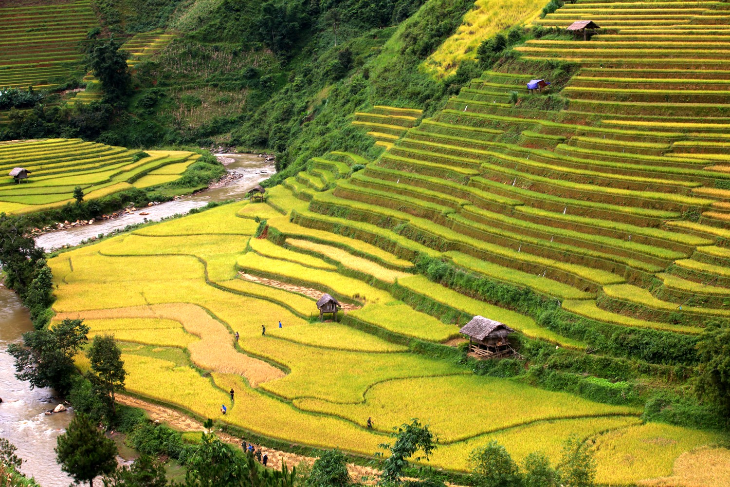 ruong bac thang