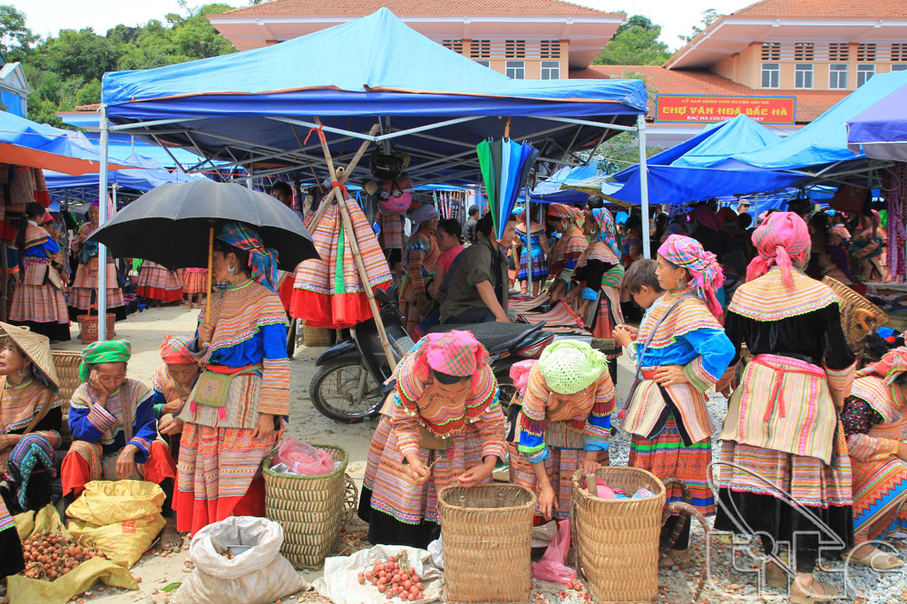 bac_ha_market