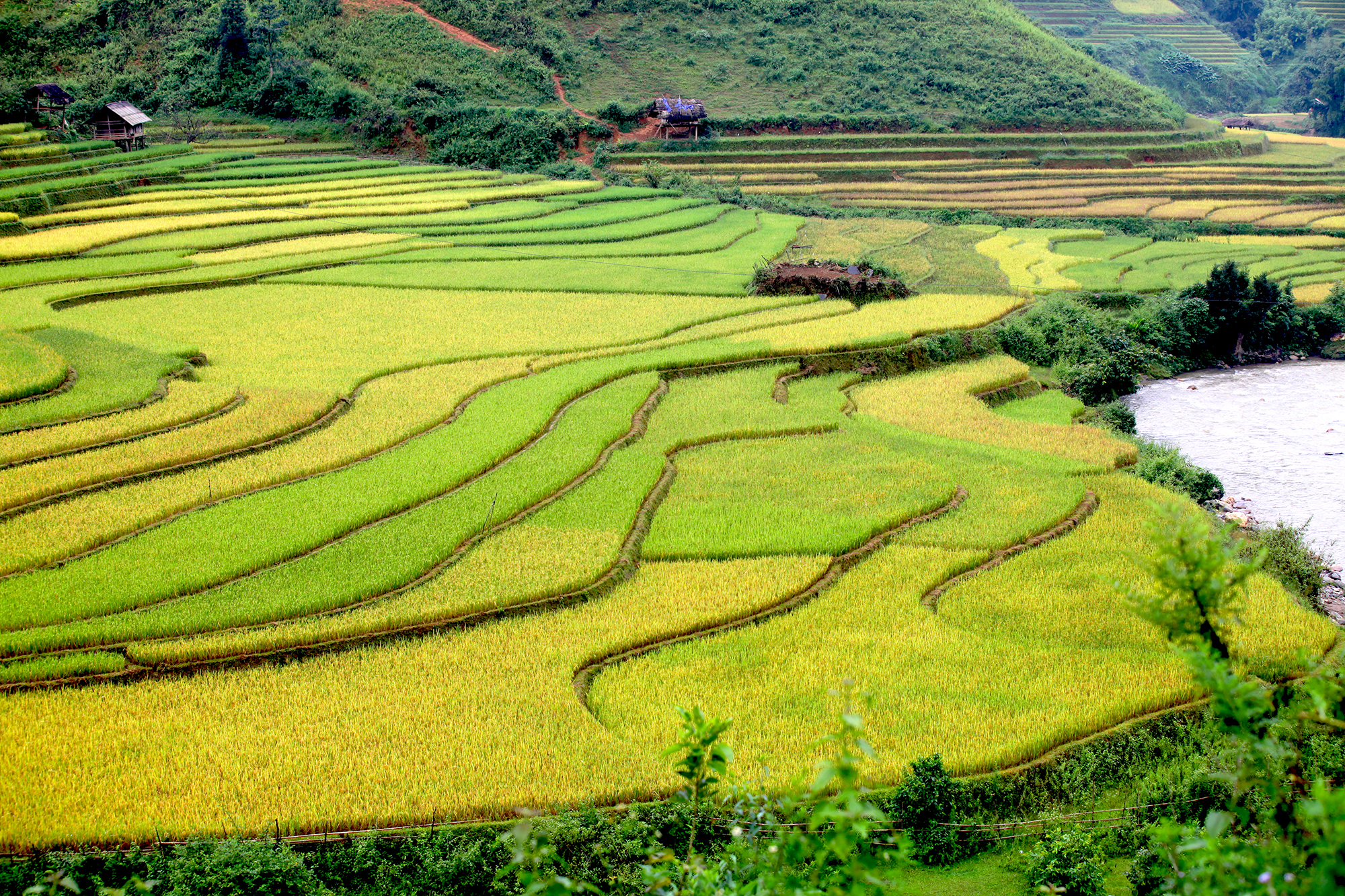 mucangchai_pacifictravel3
