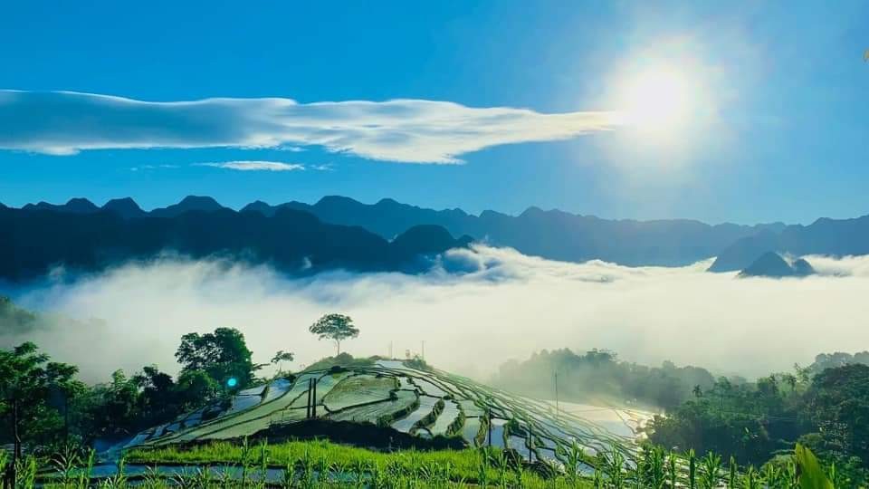 puluong december
